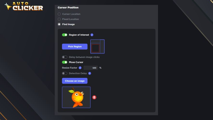 Image detection feature